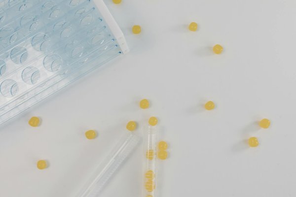 Unlocking the benefits of light therapy: a guide to battling seasonal affective disorder